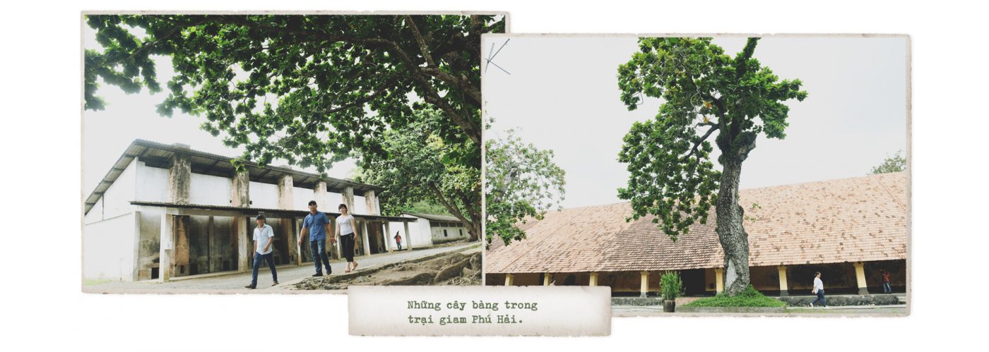 Những cây bàng trong trại Phú Hải - Côn Đảo