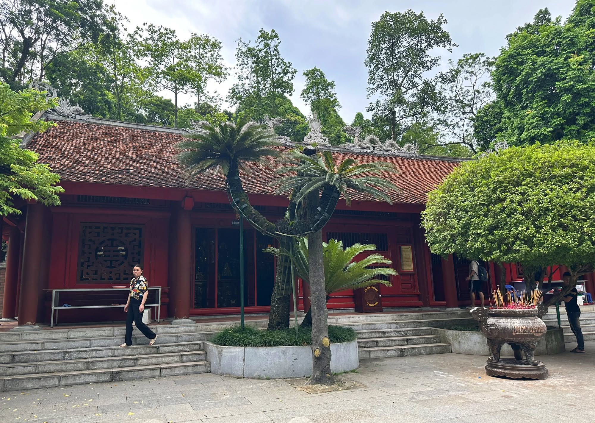 Ngay trước chùa Thiên Quang là cây vạn tuế được các nhà khoa học ước tính đã 800 tuổi. Đây là một trong những cây có tuổi đời cao nhất ở đền Hùng. Cây cao hơn 5 m, đường kính gốc khoảng 35 cm, thân nghiêng khoảng 30 độ. Để bảo đảm an toàn cho cây, khu di tích đã làm cột chống. Cây có ba nhánh tỏa ra các hướng, tượng trưng cho ba miền Bắc - Trung- Nam chung một cội nguồn.